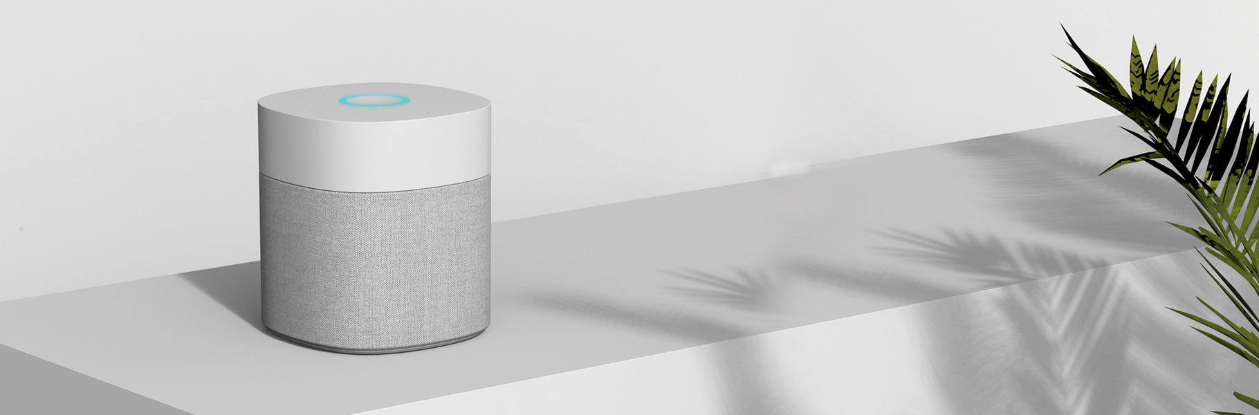 Home Hub Speaker